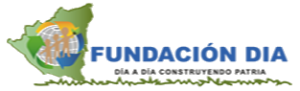 logo_fundacion_dia_wit